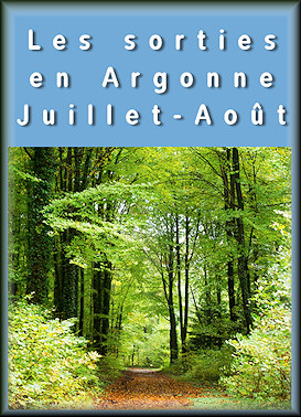 Sortir en Argonne Juillet-Août